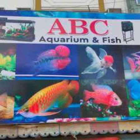 Abc aquarium 2024